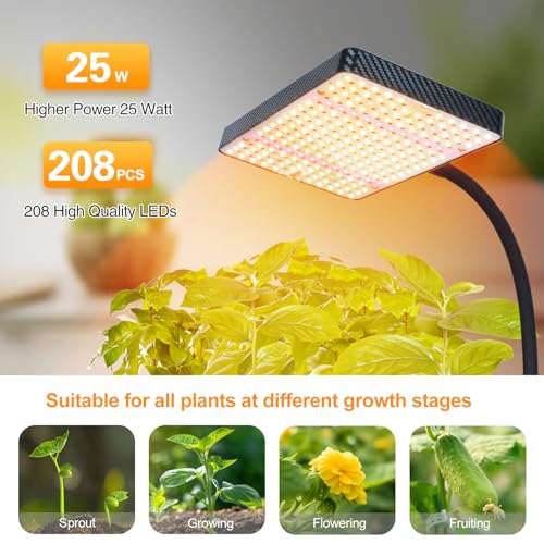 Top 10 Best Grow Light For Ficus Bonsai Tree