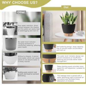 Best Self Watering Bonsai Pot Indoor