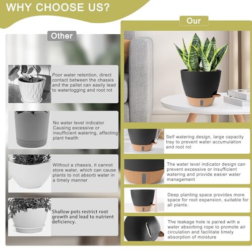 Best Self Watering Bonsai Pot Indoor