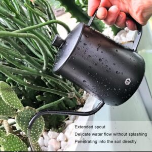 Best Glass Bonsai Watering Can For Uk