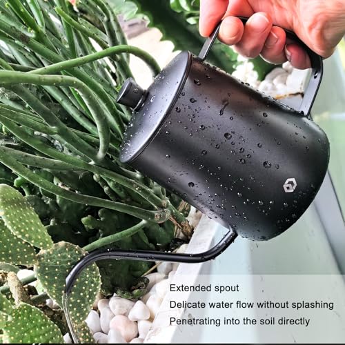 Best Glass Bonsai Watering Can For Uk