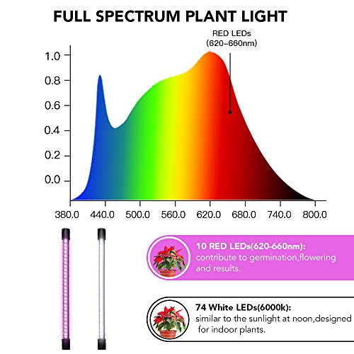 Top 10 Best Light For Growing Bonsai Indoors