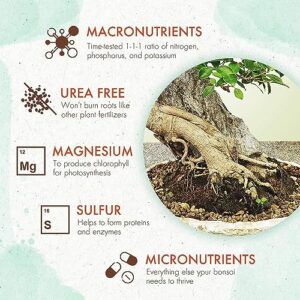 Green King Bonsai Fertilizer