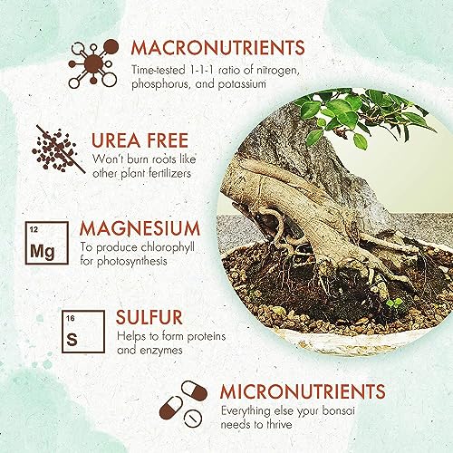 Green King Bonsai Fertilizer
