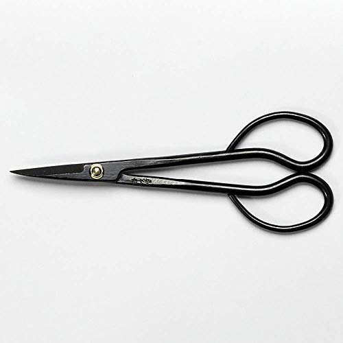 Wazakura Satsuki Bonsai Scissors Review