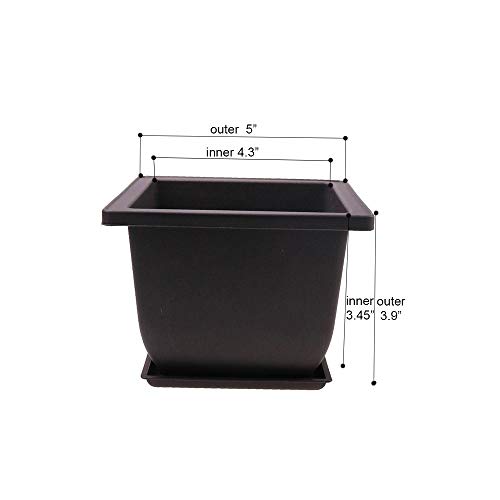 Top 5 Best Bonsai Pots Clearance Plastic