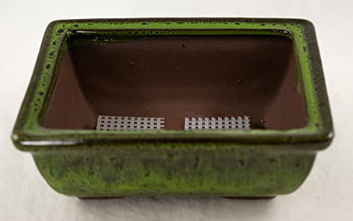 Best Bonsai Repotting Kit With Pot