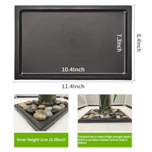 Best Bonsai Repotting Tray