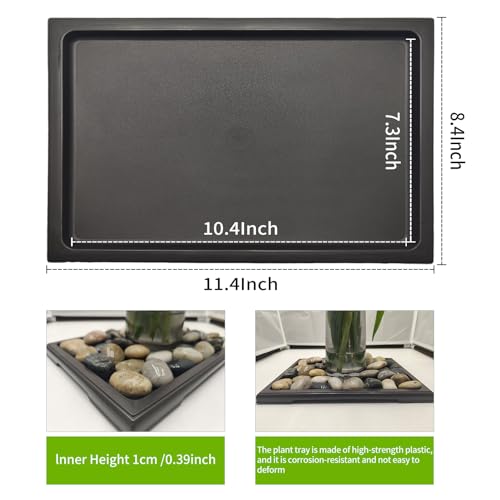 Best Bonsai Repotting Tray