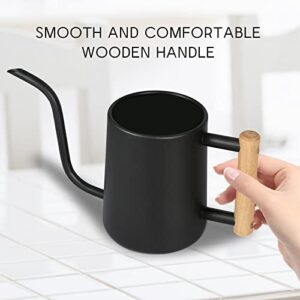 Best Watering Can For Bonsai Indoor Plants
