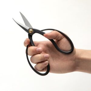 Best Bonsai Pruning Shears High Carbon Steel