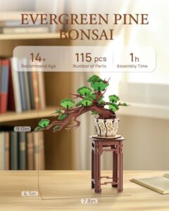 Rolife 3D Puzzle Evergreen Pine Bonsai