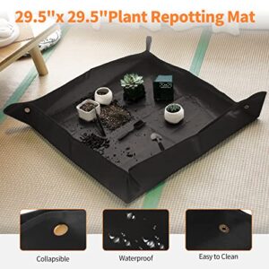 Best Bonsai Repotting Tools