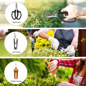 Best Bonsai Tool Set Uk Reviews
