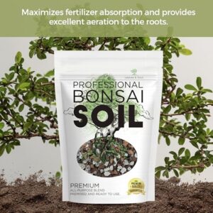 Premium Bonsai Soil Review