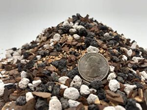 Good Potting Soil For Bonsai