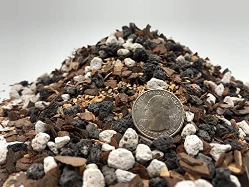 Good Potting Soil For Bonsai
