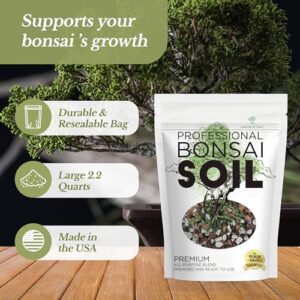 Best Bonsai Soil Mix For Beginners