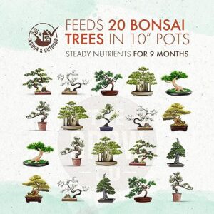 Best Bonsai Tree Fertilizer For Winter Season