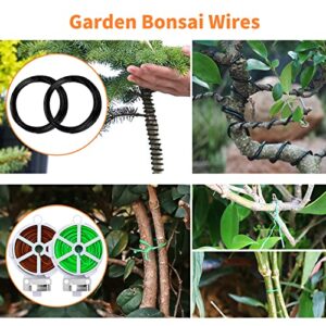 Top 5 Best Bonsai Repotting Kit