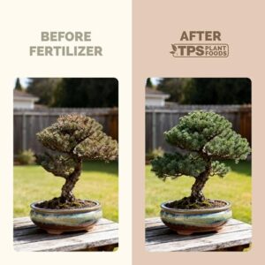 Green Dream Bonsai Fertiliser Review