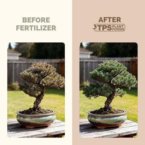 Green Dream Bonsai Fertiliser Review