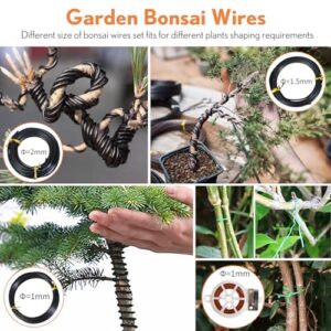 Best Bonsai Gardening Gift For Women