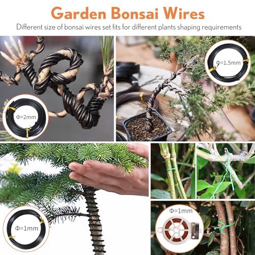 Best Bonsai Gardening Gift For Women