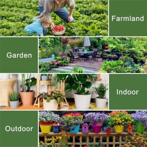 Best Soil Moisture Meter For Indoor Plants