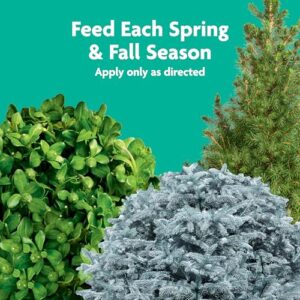 Best Fertilizer For Evergreen Trees And Shrubs