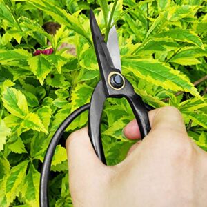 Best Bonsai Pruning Snips For Beginners