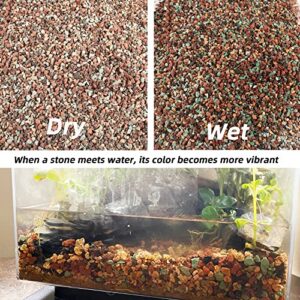 Bonsai Soil Vs Regular Soil