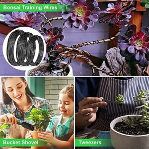 Professional Bonsai Pruning Kit For Beginners