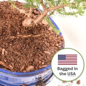 Best Soil For Bonsai Trees In Pots