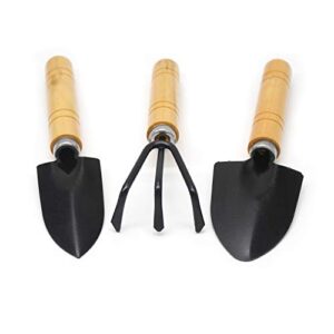 Bonsai Tool Set 8 PCS Mini Gardening Tools Kit Review