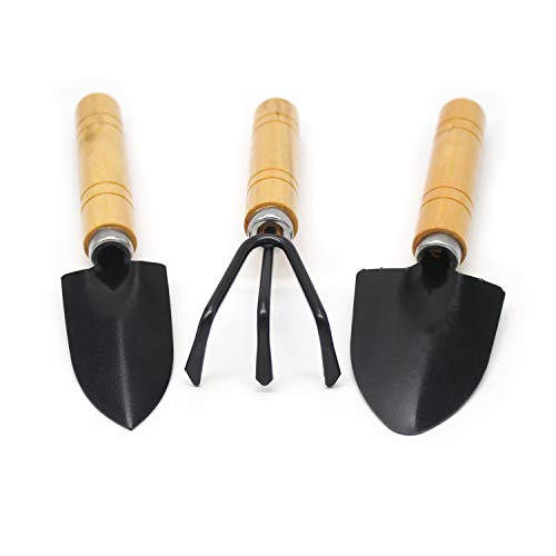 Bonsai Tool Set 8 PCS Mini Gardening Tools Kit Review