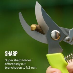 2 Pack Stainless Steel Gardening Scissors
