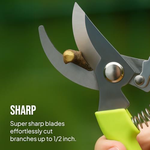 2 Pack Stainless Steel Gardening Scissors