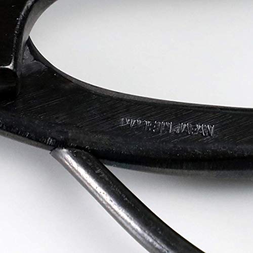 Hanafubuki Wazakura Bonsai Scissors Review