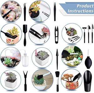 Best Succulent Tool Kit Review