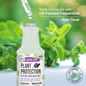Top 5 Best Pest Control Spray For Bonsai Tree