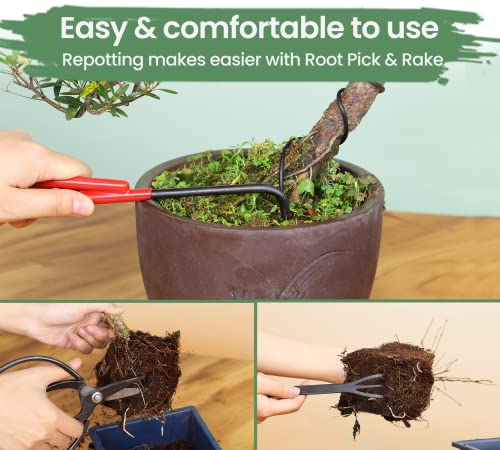 Professional Bonsai Tools Set With Wood Box