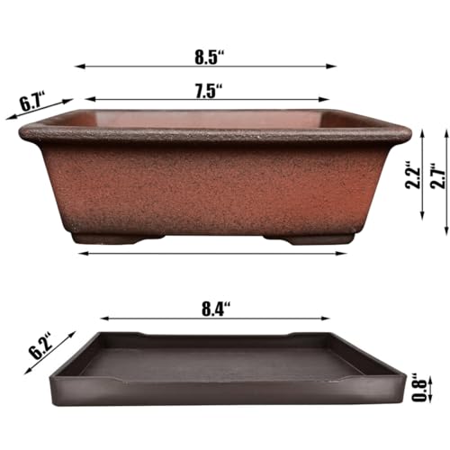 Best Unglazed Clay Bonsai Pots