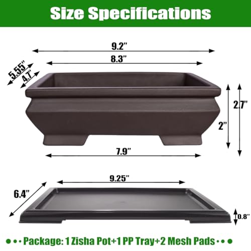Best Unglazed Ceramic Bonsai Pots