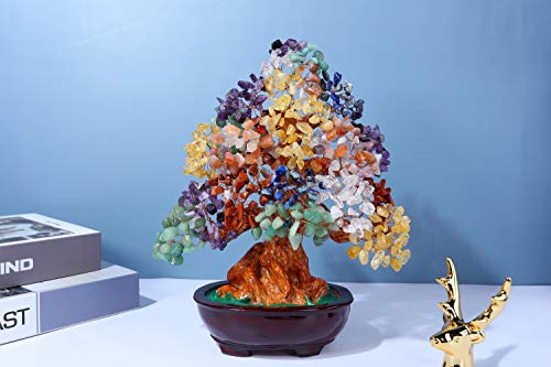 Top 5 Best Bonsai Money Tree Crystal