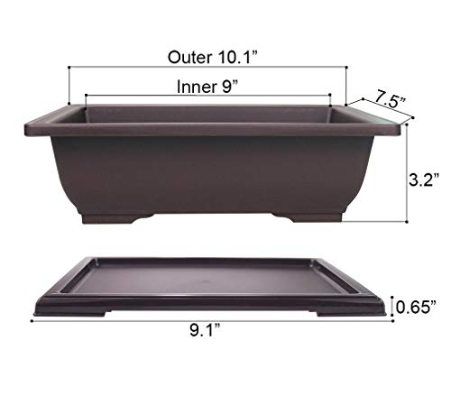 Extra Large Rectangular Bonsai Pot With Tray