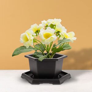 Top 5 Best Plastic Bonsai Training Pots