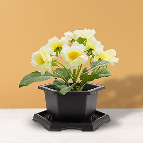 Top 5 Best Plastic Bonsai Training Pots