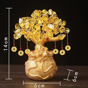 Cest Chinese Money Tree Bonsai
