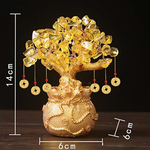 Cest Chinese Money Tree Bonsai